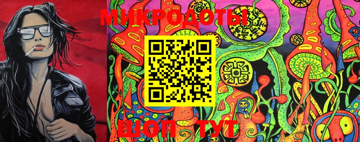 Псилоцибиновые грибы GOLDEN TEACHER  Вход с VPN  Карачаевск 
